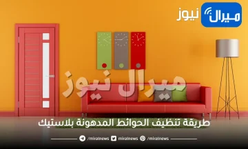 طريقة تنظيف الحوائط المدهونة بلاستيك