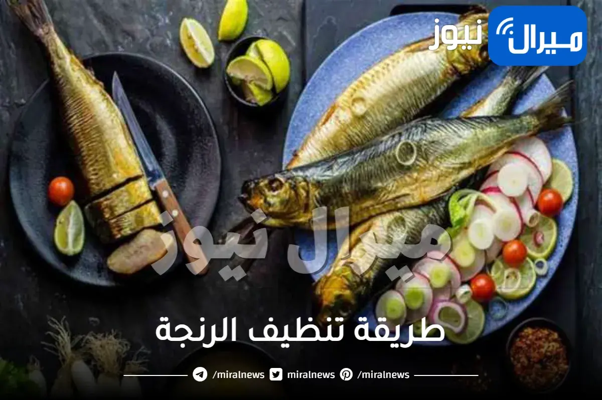 طريقة تنظيف الرنجة