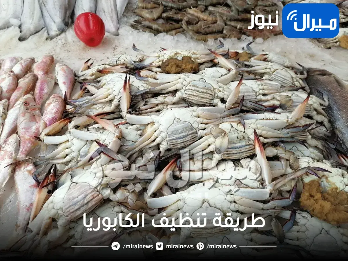 طريقة تنظيف الكابوريا وإعداد شوربة كابوريا اسكندراني سهلة وبسيطة