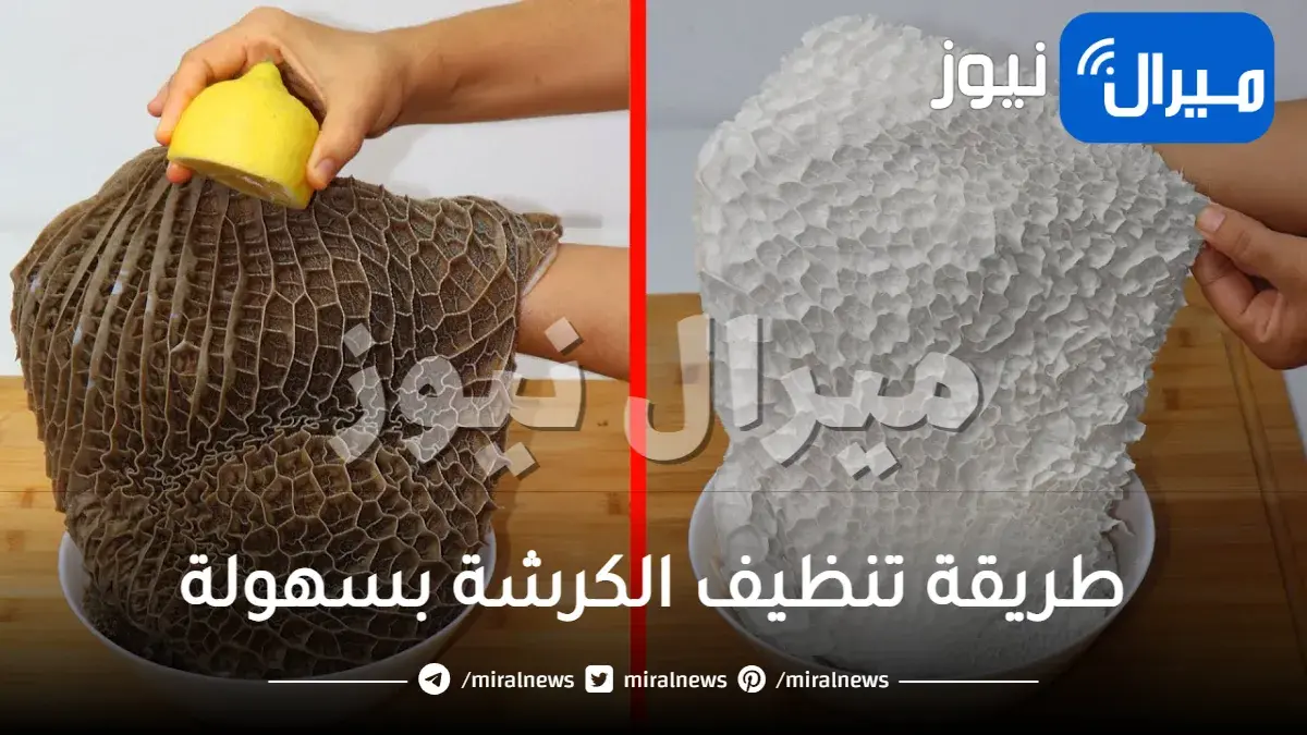 طريقة تنظيف الكرشة بسهولة