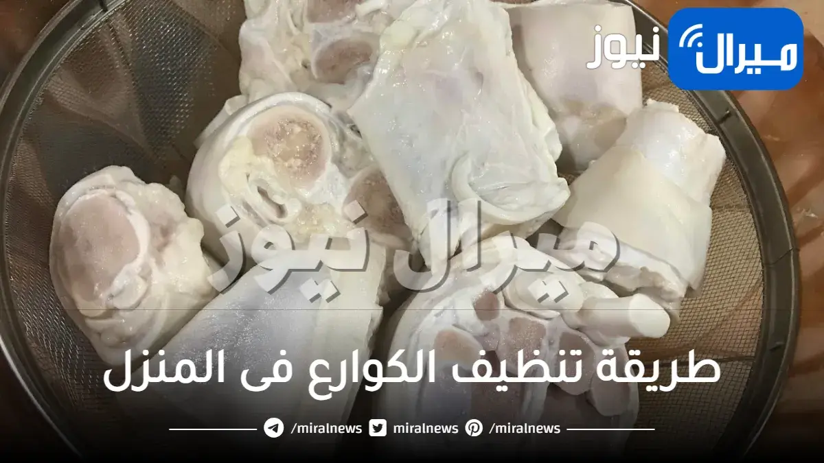 طريقة تنظيف الكوارع فى المنزل
