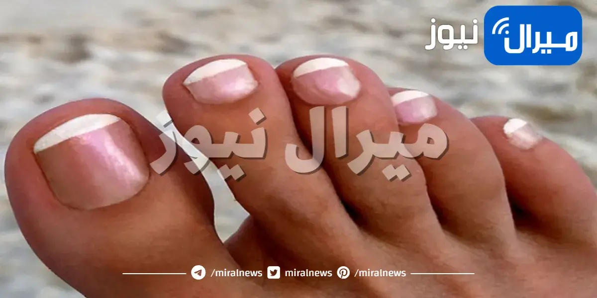 طريقة عمل الباديكير الفرنسي