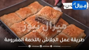 طريقة عمل الجلاش باللحمة المفرومة