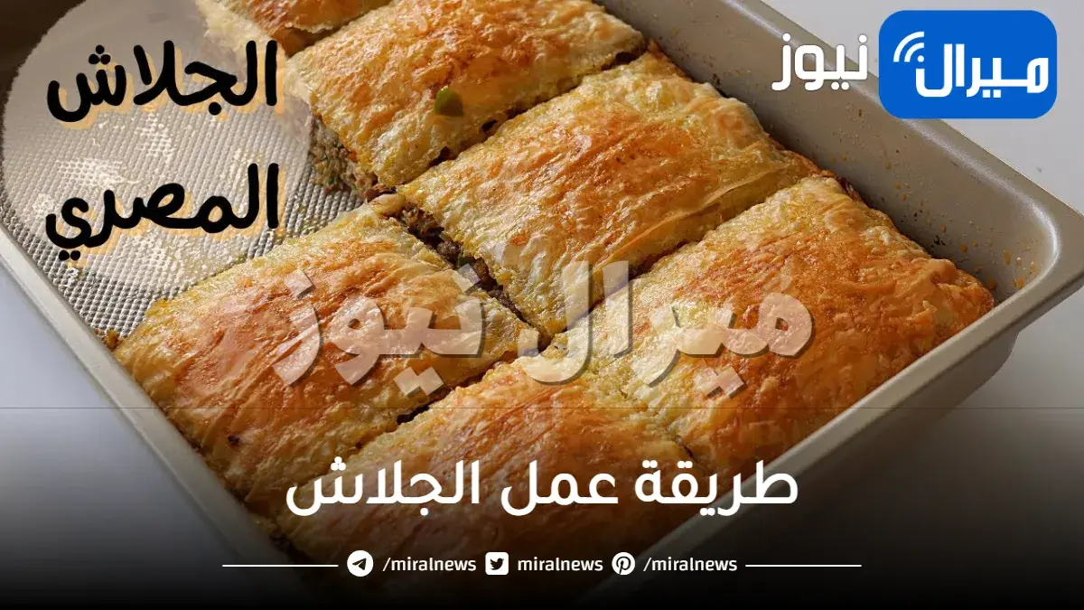 طريقة عمل الجلاش