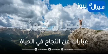 عبارات عن النجاح في الحياة