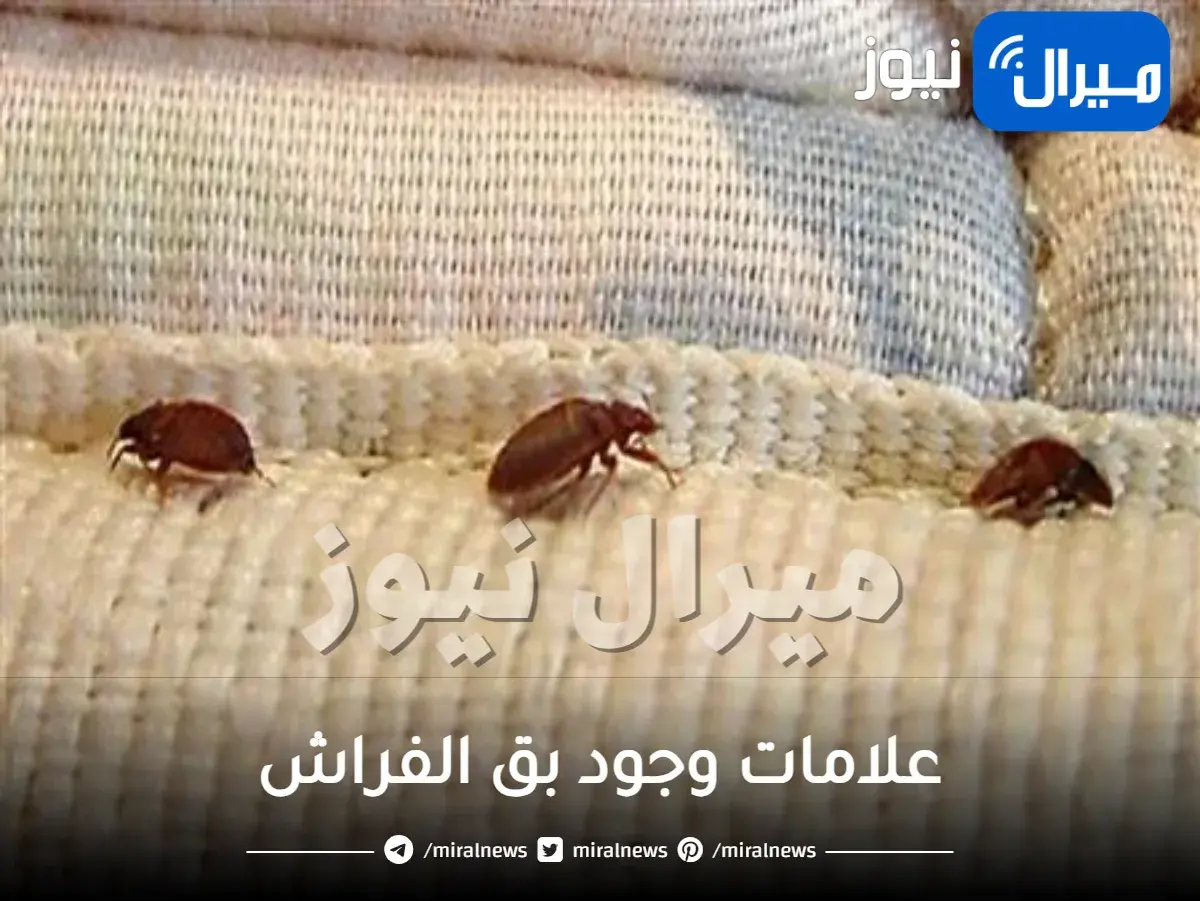 علامات وجود بق الفراش في البيت وأسباب ظهورها وشكل قرصة البق وعلاجها