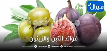 فوائد التين والزيتون| تعرف إلى 7 من فوائد التين والزيتون على الريق للنساء