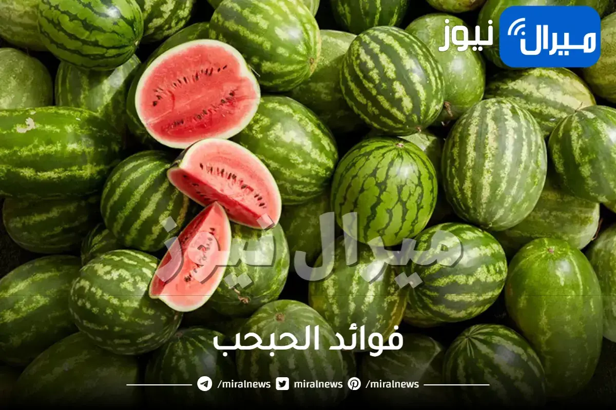 فوائد الحبحب