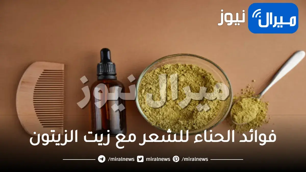 ما فوائد الحناء للشعر مع زيت الزيتون