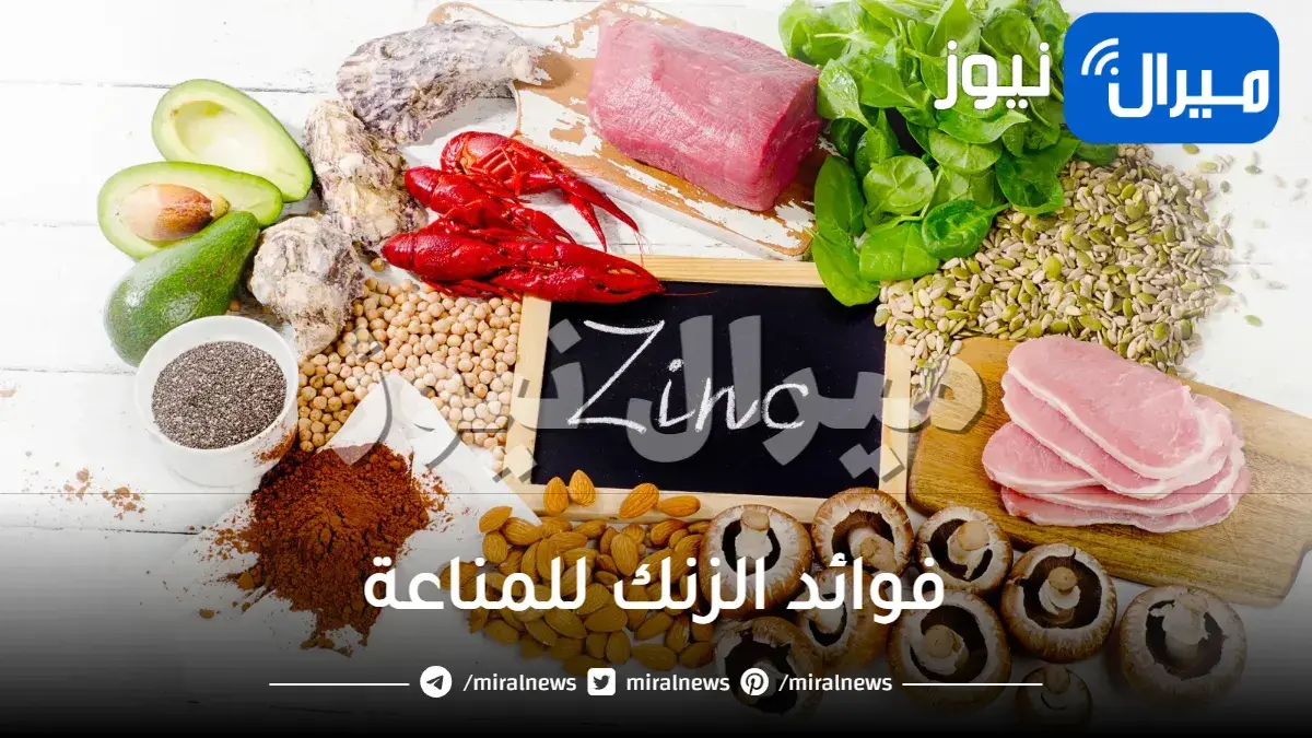 فوائد الزنك للمناعة