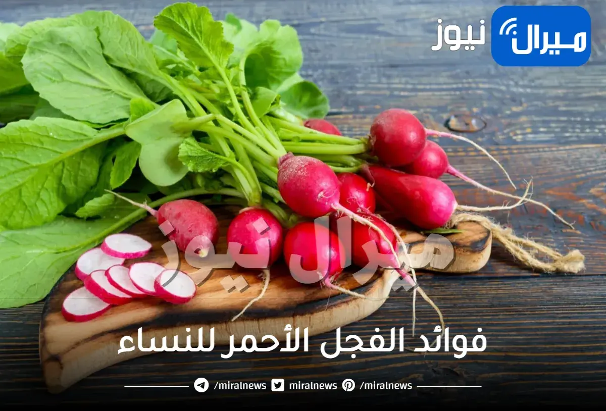 فوائد الفجل الأحمر للنساء