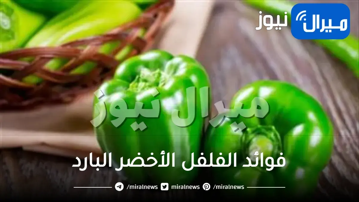 فوائد الفلفل الأخضر البارد للشعر والبشرة وأضراره