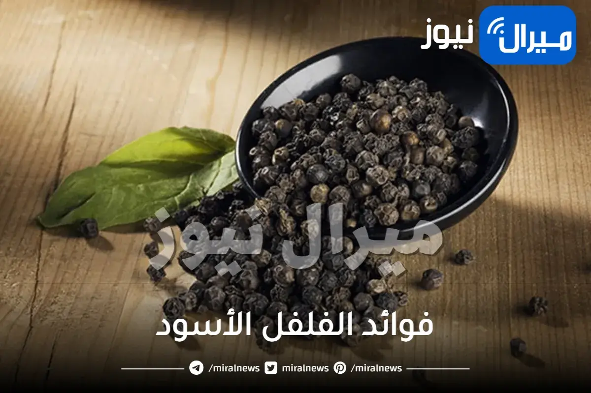 فوائد الفلفل الأسود للدوره وللعين