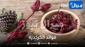 فوائد الكركديه لإلتهابات المعدة والقولون وكيفية تحضيره