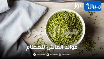 فوائد الماش للعظام