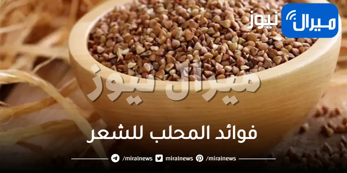 فوائد المحلب للشعر