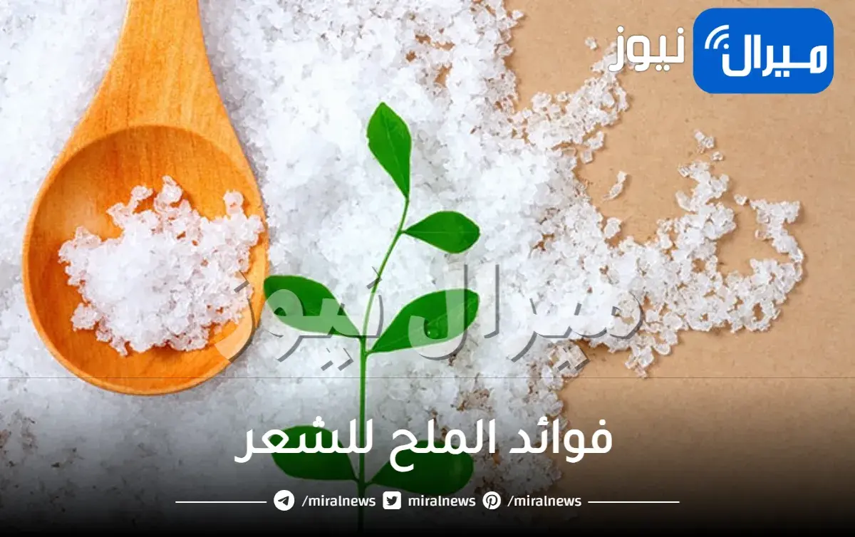 فوائد الملح للشعر