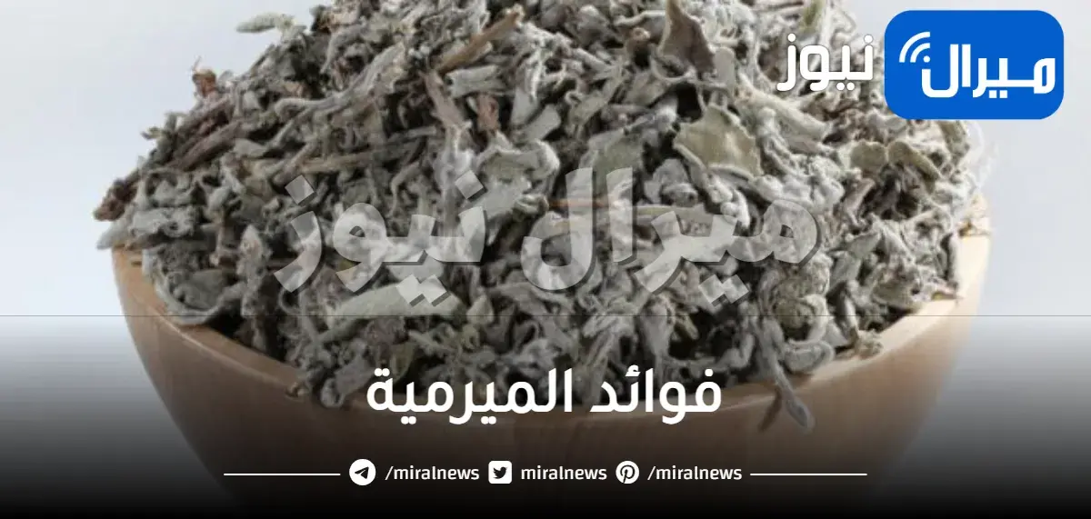 فوائد الميرمية للهرمونات