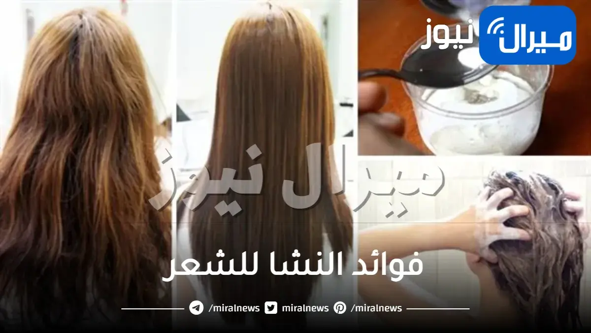 فوائد النشا للشعر