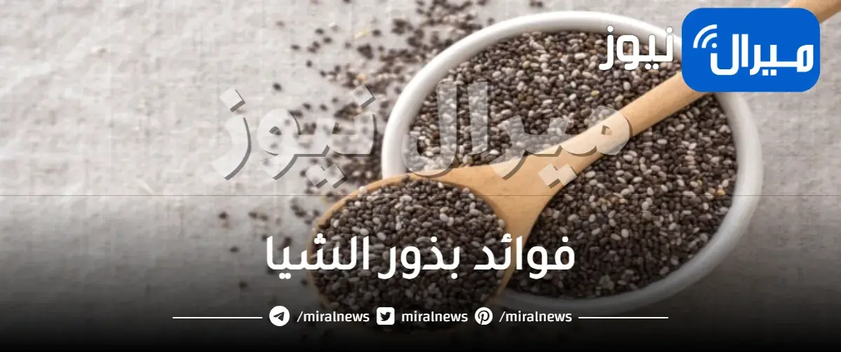 فوائد بذور الشيا للتنحيف والشعر وأضرارها وقيمتها الغذائية