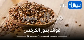 فوائد بذور الكرفس للجسم أبرزها للاملاح والجنس