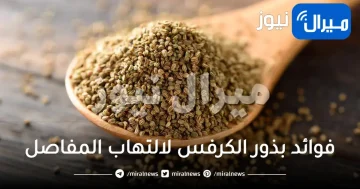 فوائد بذور الكرفس لالتهاب المفاصل