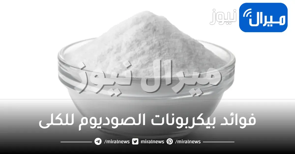 فوائد بيكربونات الصوديوم للكلى