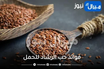 فوائد حب الرشاد للحمل