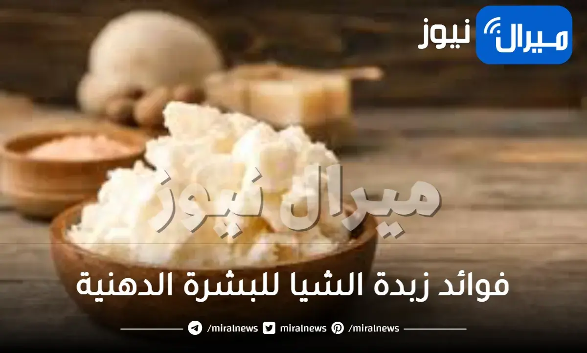 فوائد زبدة الشيا للبشرة الدهنية