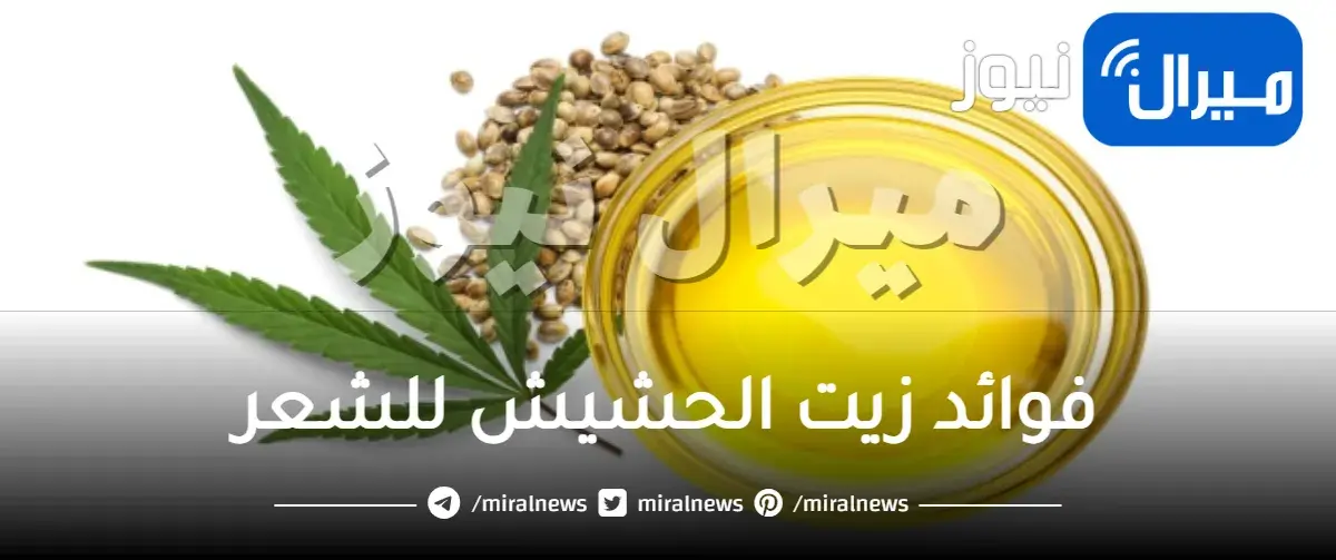 فوائد زيت الحشيش للشعر القصير والتالف وللتخلص من الشعر المقصف