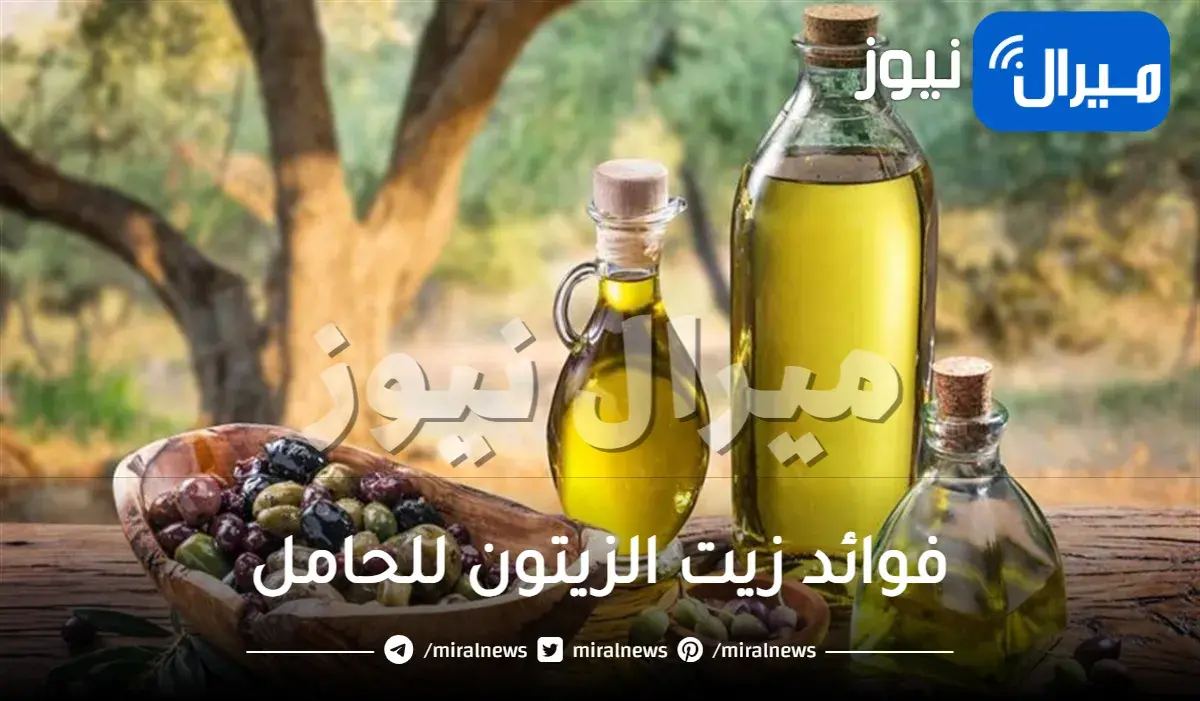 فوائد زيت الزيتون للحامل