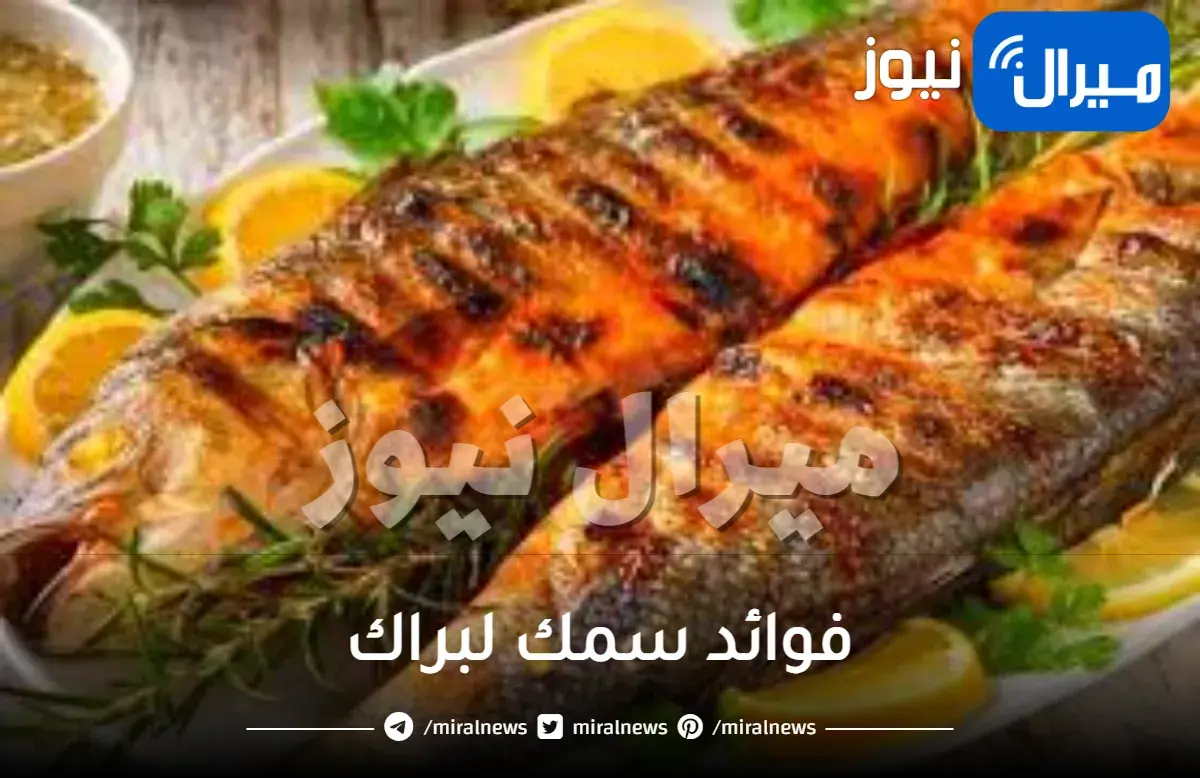 ما هي فوائد سمك لبراك