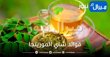 فوائد شاي المورينجا