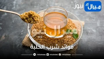 فوائد شرب الحلبة بشكل يومي وقيمتها الغذائية وأضرارها