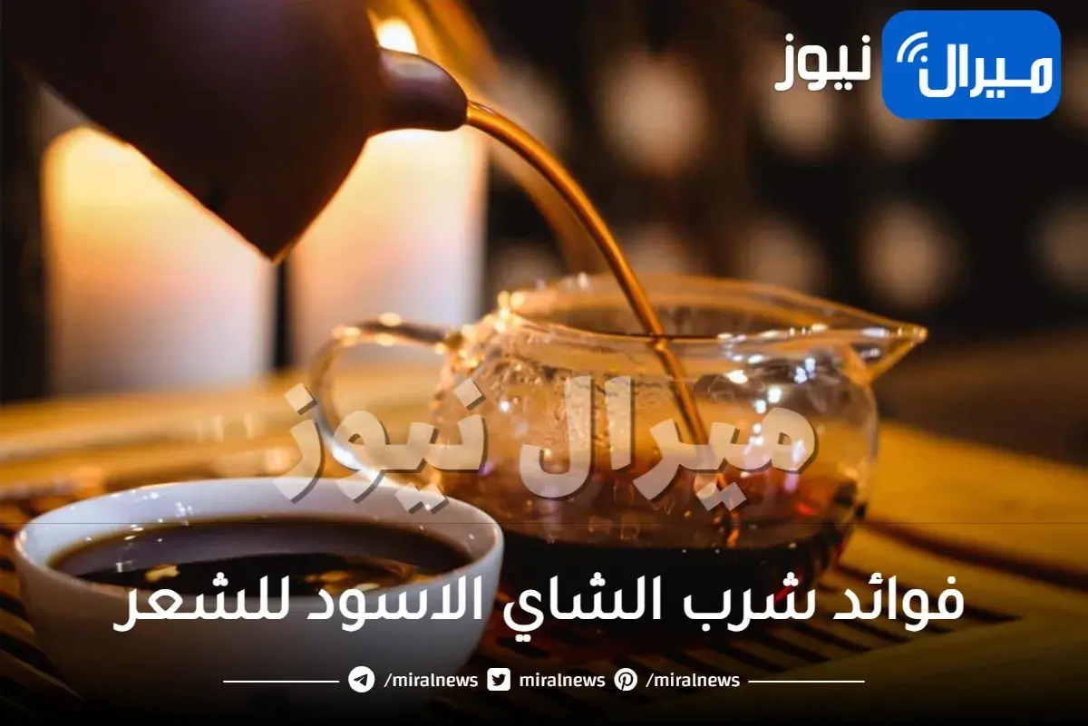 فوائد شرب الشاي الاسود للشعر