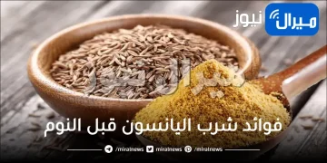 فوائد شرب اليانسون قبل النوم