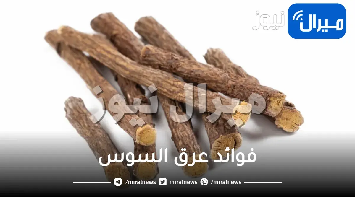 فوائد عرق السوس للمبايض والانجاب أبرز فوائد عرق السوس للنساء