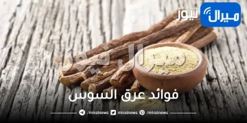 فوائد عرق السوس الصحية وأضراره وطريقة استعماله