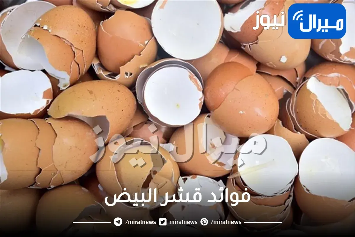 فوائد قشر البيض