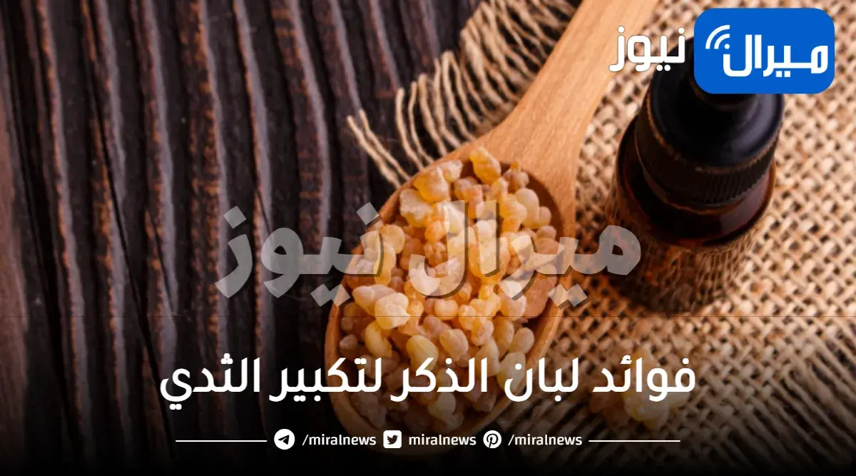 فوائد لبان الذكر لتكبير الثدي