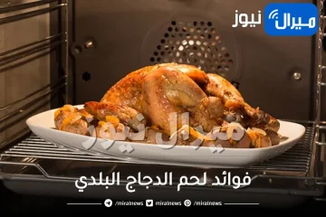 فوائد لحم الدجاج البلدي