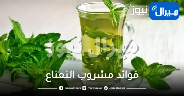 فوائد مشروب النعناع للنساء والرجال وآثاره الجانبية