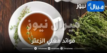 فوائد مغلي الزعتر