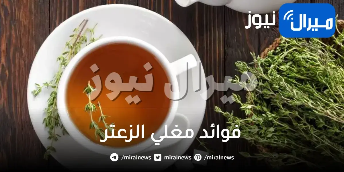 فوائد مغلي الزعتر