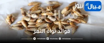 فوائد نواة التمر