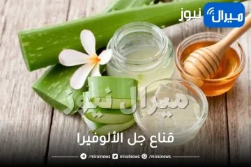 حضري قناع جل الألوفيرا لحب الشباب وعالجيه منزلياً