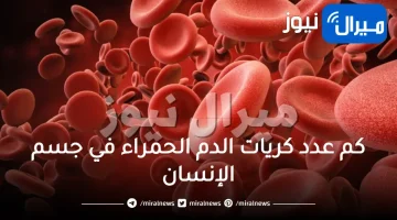 كم عدد كريات الدم الحمراء في جسم الإنسان من 15 حرف تراكيب كلمات متقاطعة