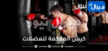 فوائد كيس الملاكمة للعضلات وأهم الفوائد النفسية والاجتماعية لرياضة الملاكمة