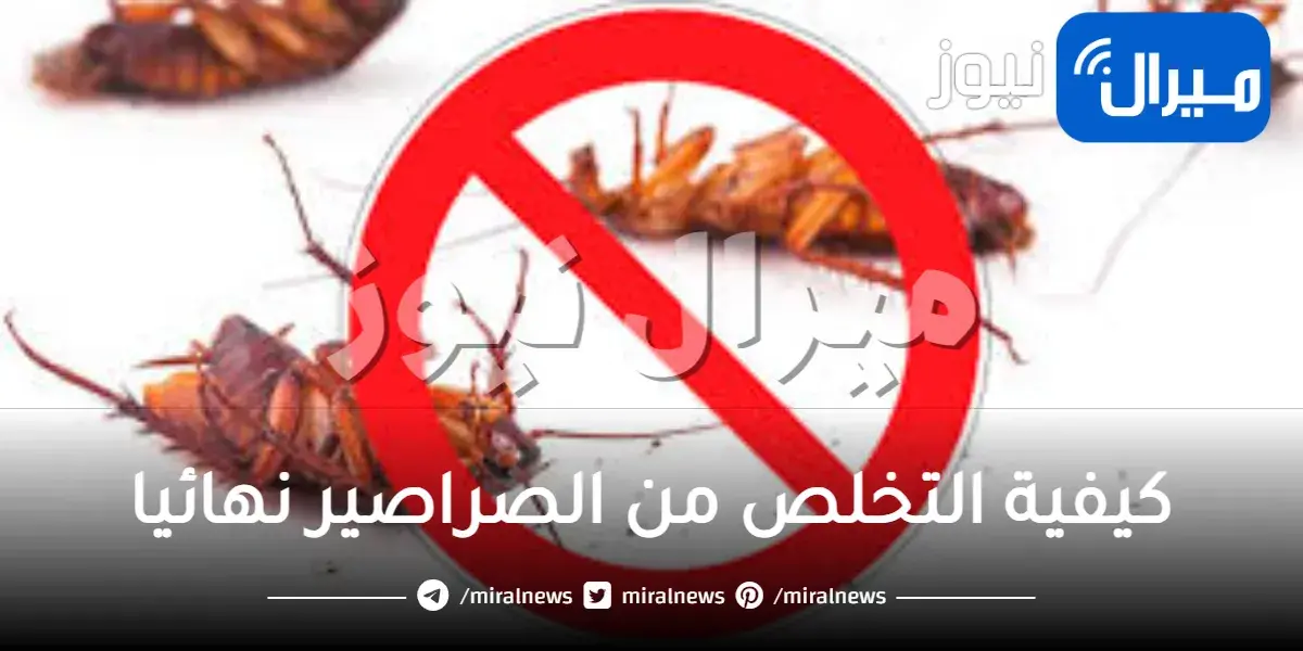 كيفية التخلص من الصراصير نهائيا