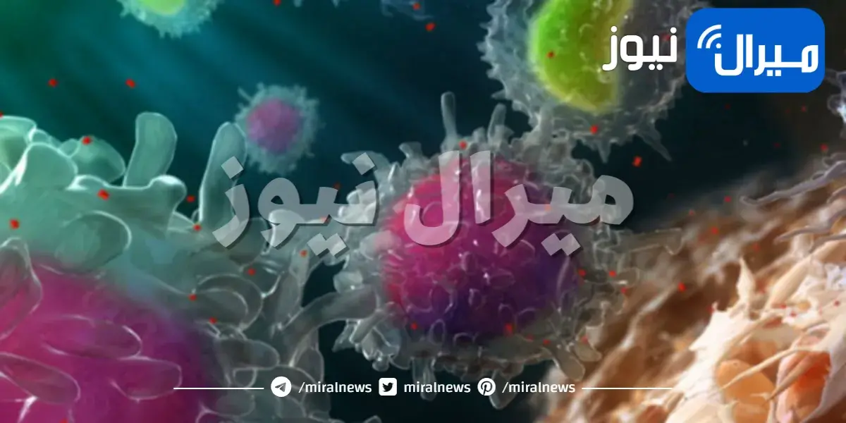 كيفية تقوية جهاز المناعة في الجسم